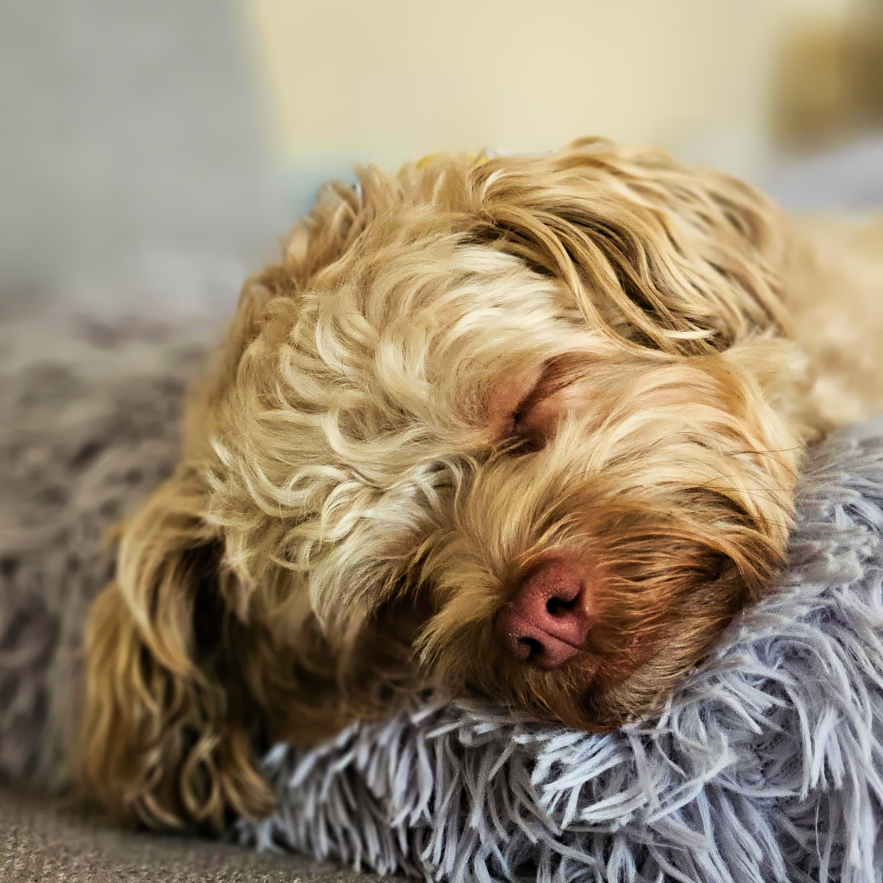 Alleinbleibtraining_2