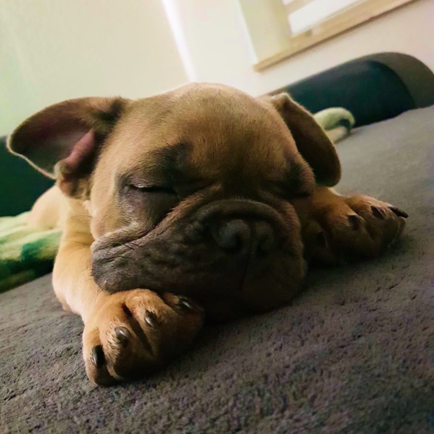 Alleinbleibtraining_2